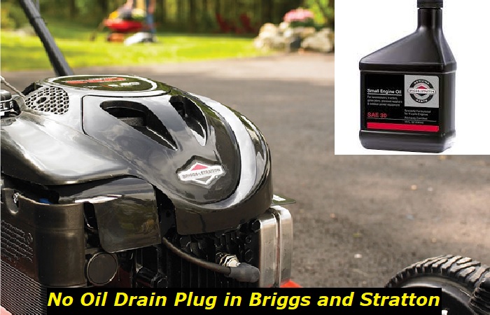 Briggs and stratton discount mower oil change